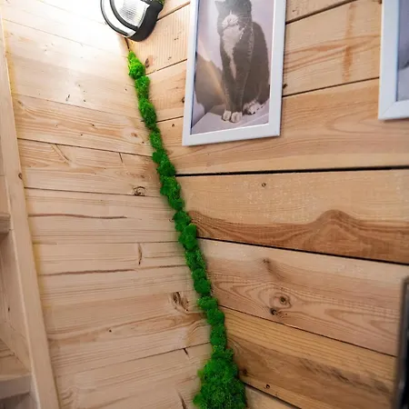 Niewielkie Przytulne Poddasze Z Widokiem Na Ratusz * Πόζναν