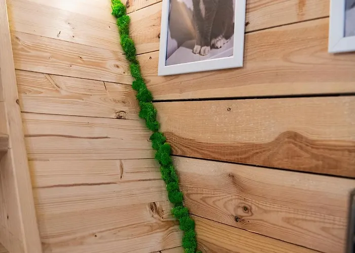 Niewielkie Przytulne Poddasze Z Widokiem Na Ratusz * Познань